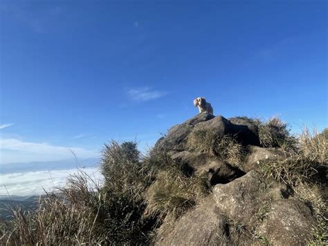 七星山金字塔|「凱達格蘭山」上七星山，非大眾路線！